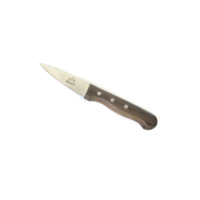 Carving Knife with Wooden Handle; 13 cm - lunazchef.shop