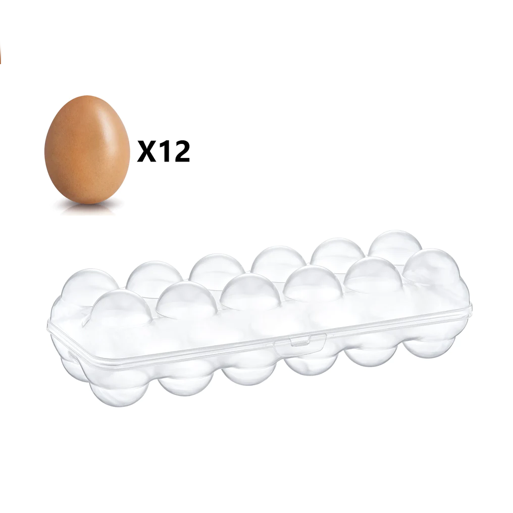 Egg Holder for 12 Pieces - lunazchef.shop