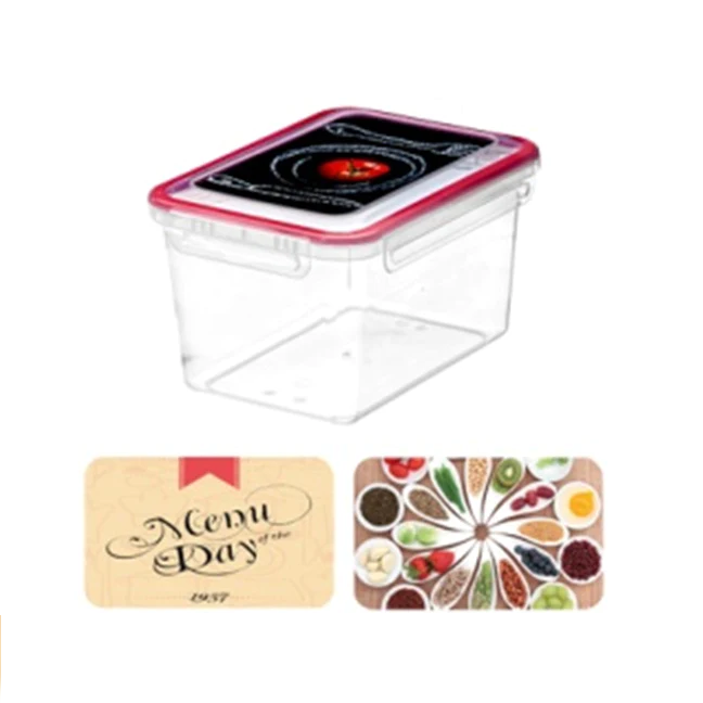 Rectangular Food Container Alba 2.7 L - lunazchef.shop