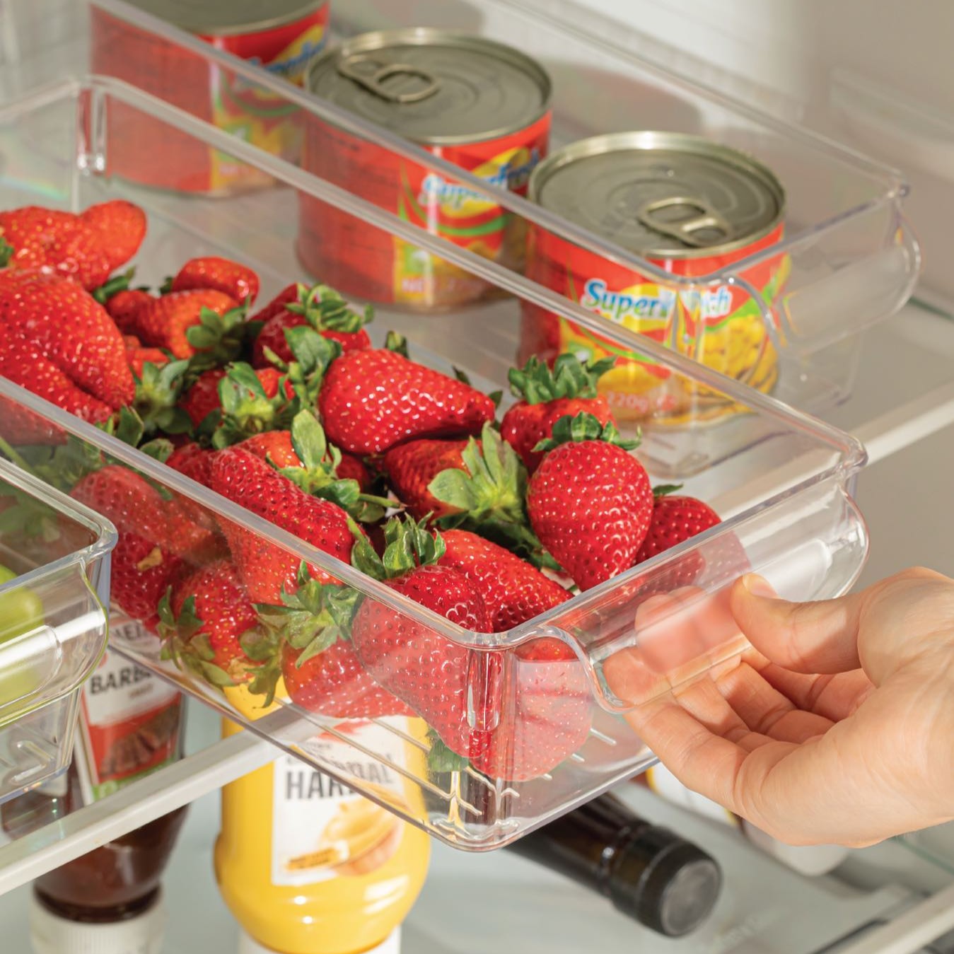 Ultra Clear Ref Organizer 15x32.5x10cm - lunazchef.shop