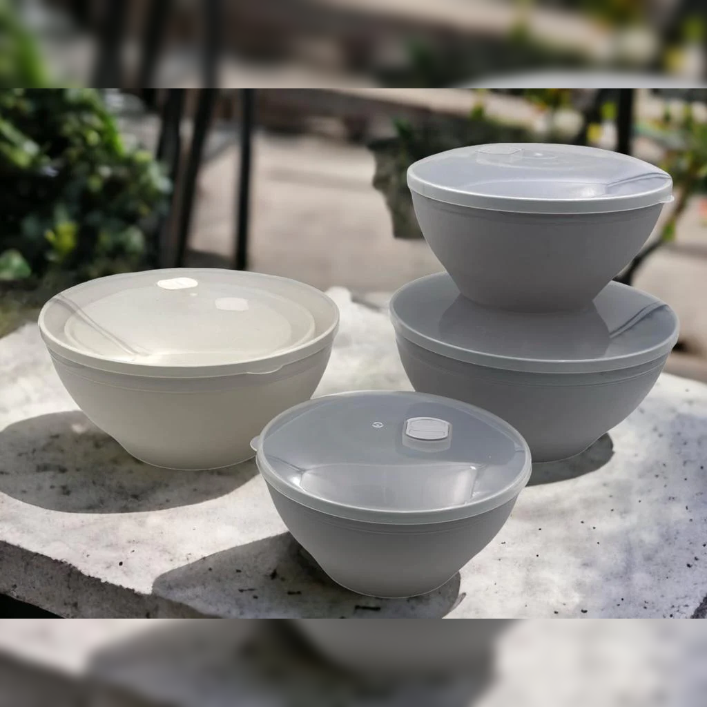 Armada Plastic Salad Bowl Set with Covers - lunazchef.shop