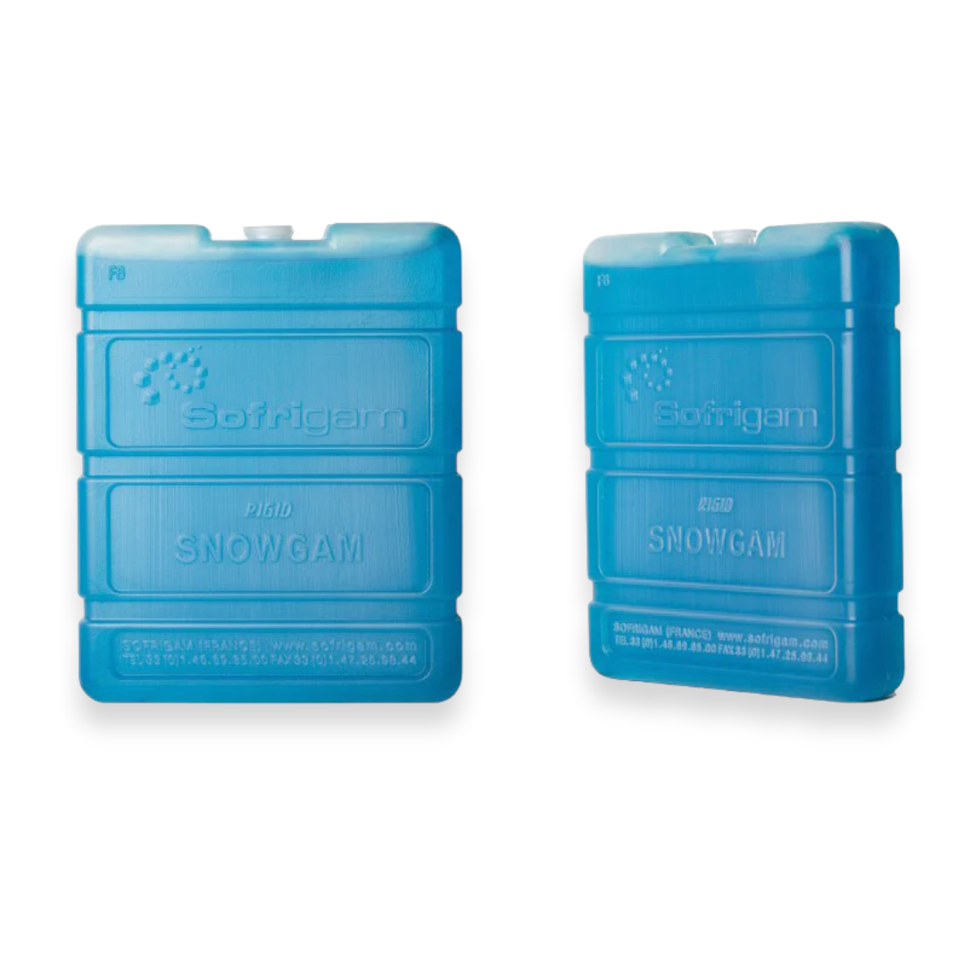 Ice Pack for Coolers X2 - lunazchef.shop