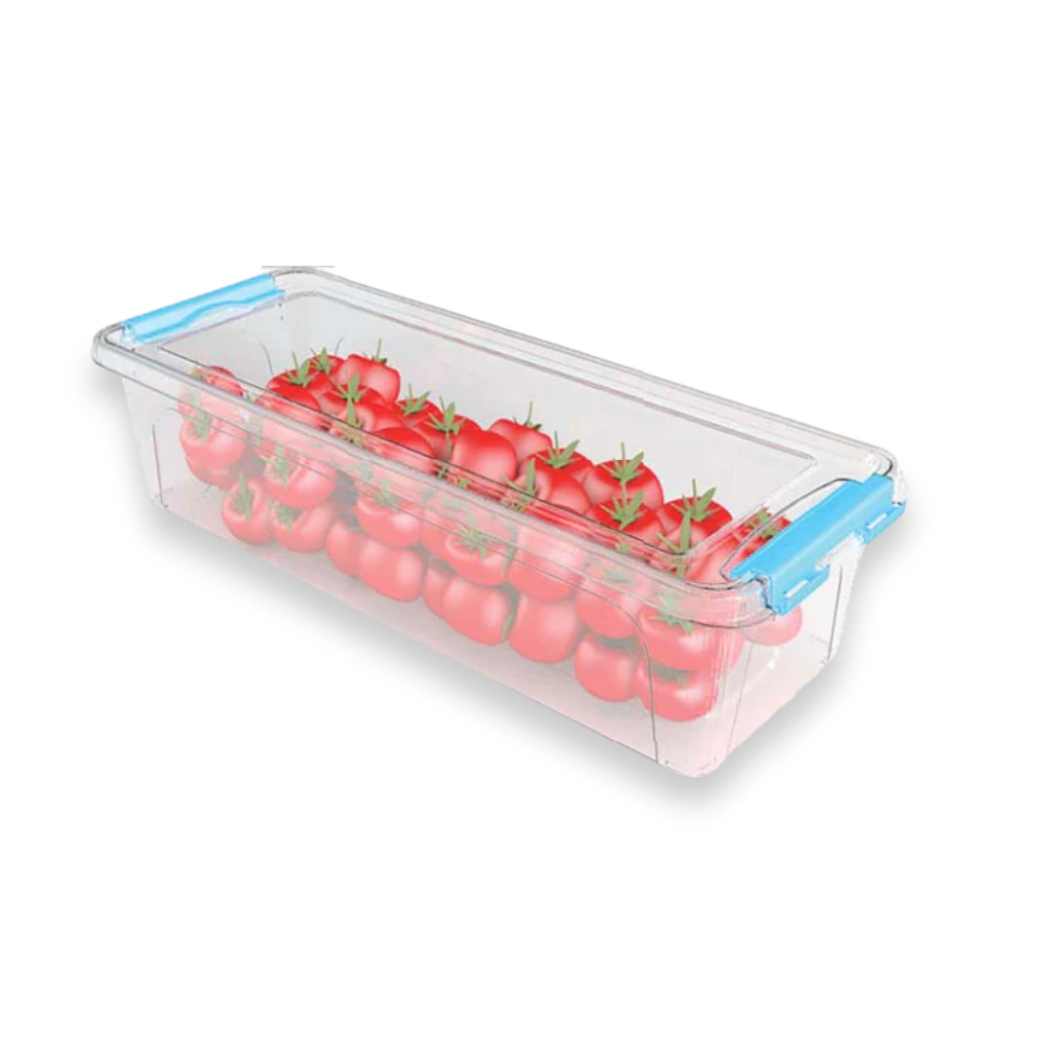 Plastic Maxi Storage Container - lunazchef.shop