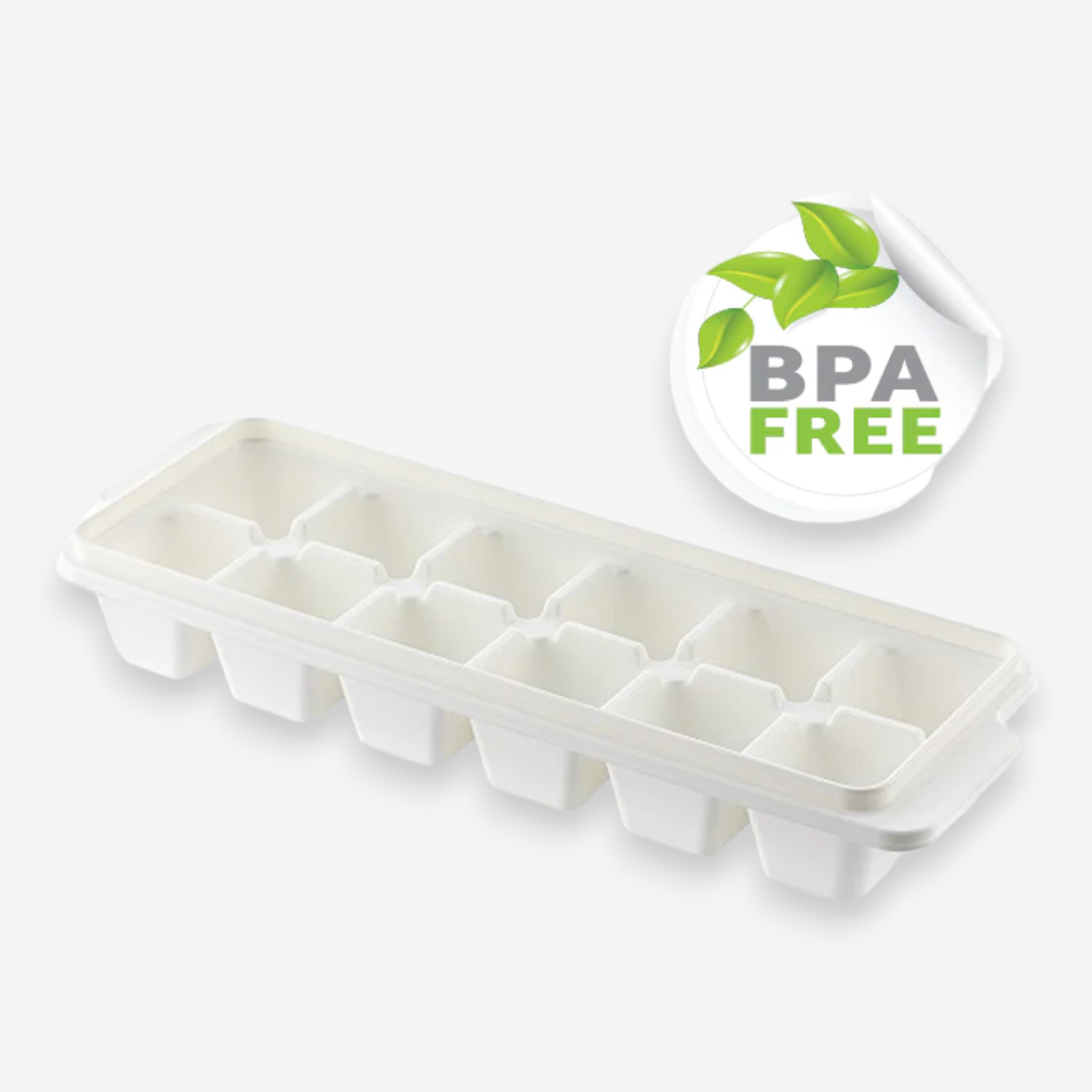 Ice Cube Tray X2 - lunazchef.shop