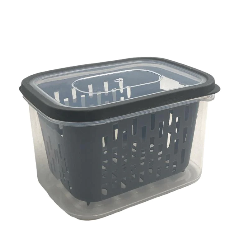 Small Fresh Storage Box With Strainer - lunazchef.shop