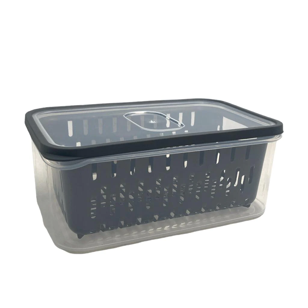 Fresh Storage Box With Strainer - lunazchef.shop