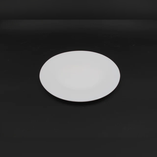 Dessert Opal Plain White Plate - lunazchef.shop