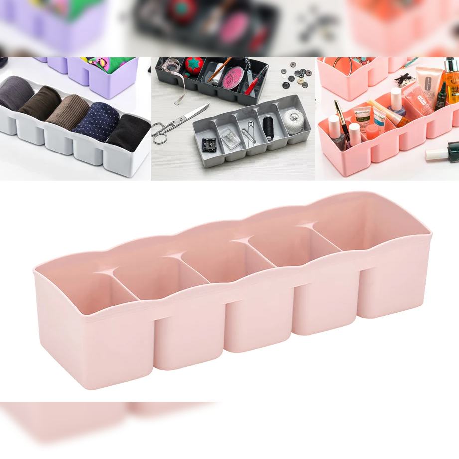 Multipurpose Organizer 5 Comp - lunazchef.shop